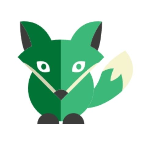 Green Fox Academy Investment